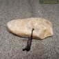 Preview: Maschinenpistole MP-40 lackiert im Maßstab 1:16